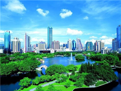 了解上海红松路全套服务，尽享丰富多样的内容